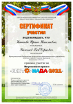 Сертификат участия во всероссийском конкурсе 